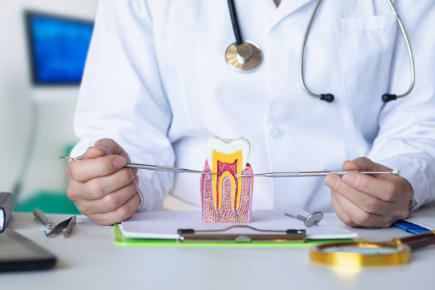 Best Emergency Tooth Extraction in Blue Jay, OH